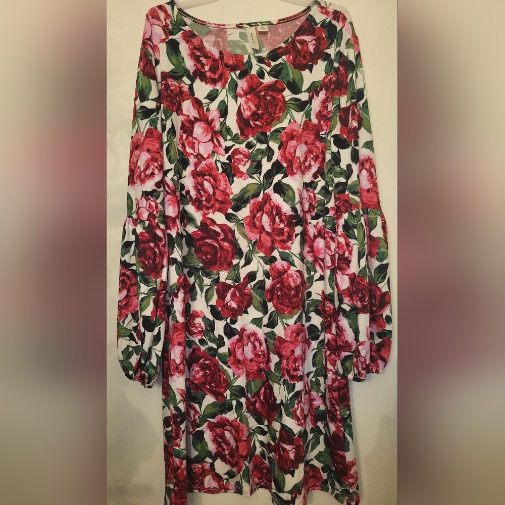NWOT Jacera dress